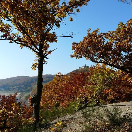 Belvedere - Das Bio Hotel Garni & Suitehotel Am Edersee ! Unser Geschenk Fuer Sie, Auch Die Gaestecard Grimmheimat! Waldeck  Exteriér fotografie